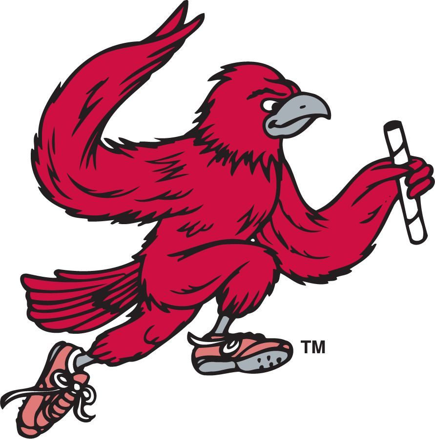 St. Joseph's Hawks 1995-2002 Secondary Logo v6 DIY iron on transfer (heat transfer)